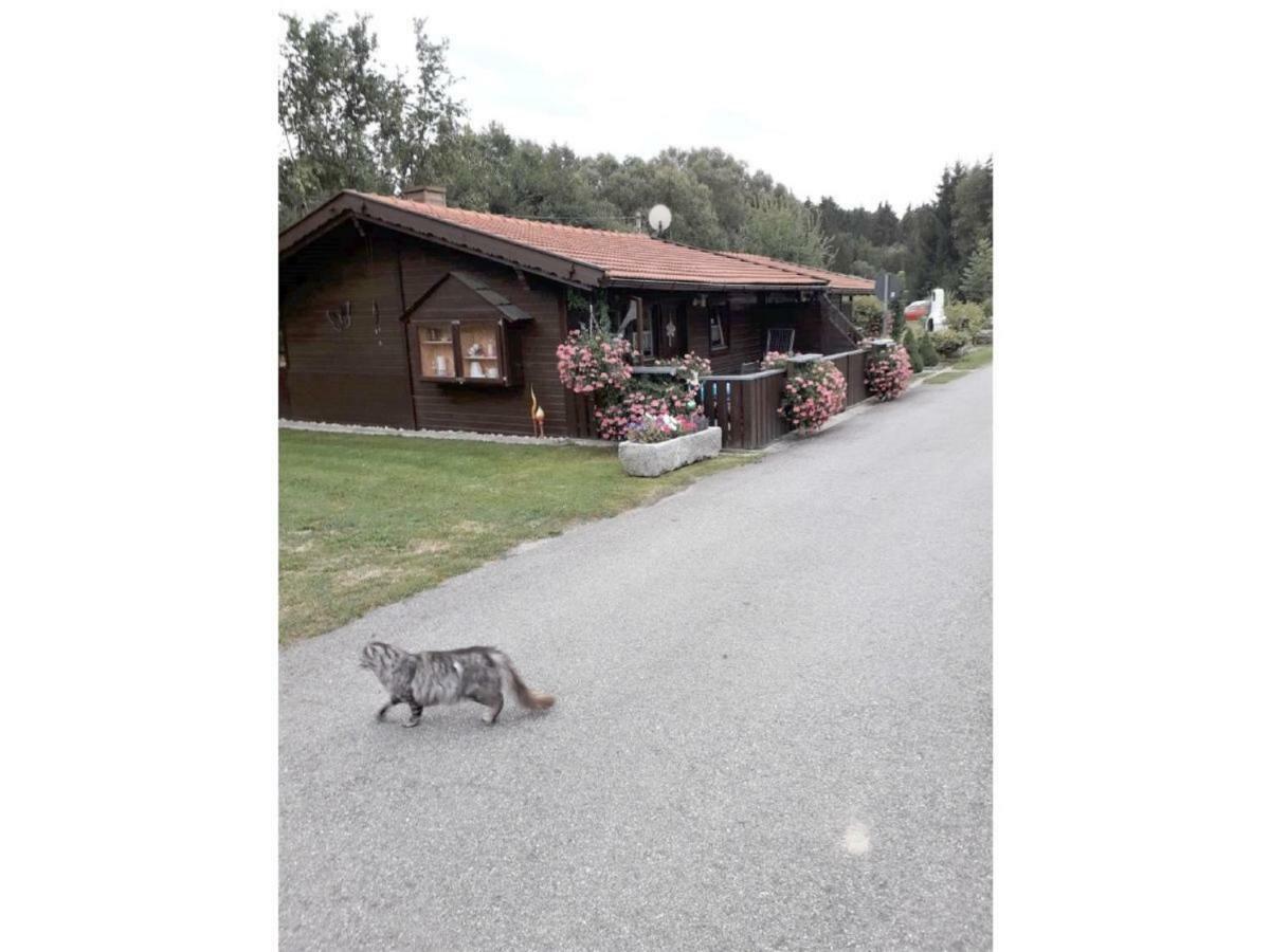 Gerda'S Ferienhaeuser Eppenschlag Buitenkant foto