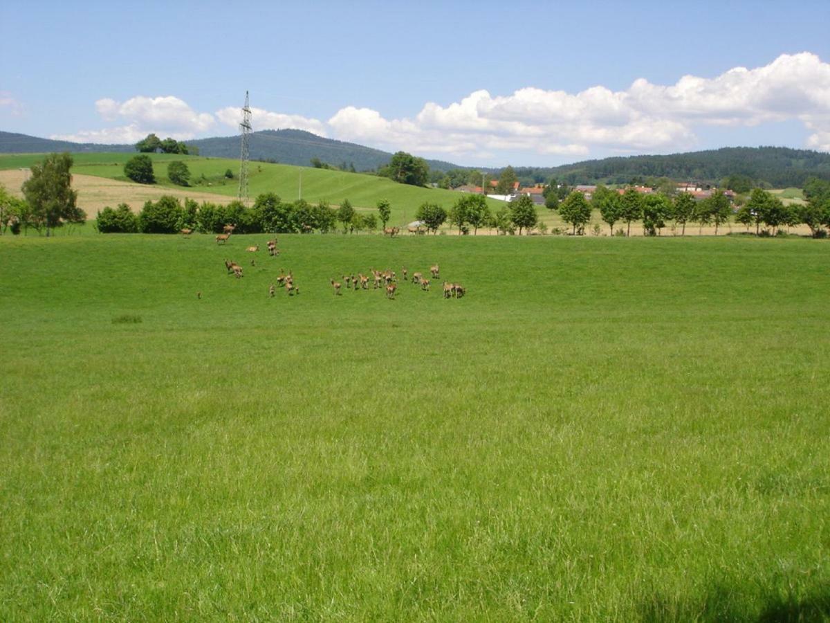 Gerda'S Ferienhaeuser Eppenschlag Buitenkant foto